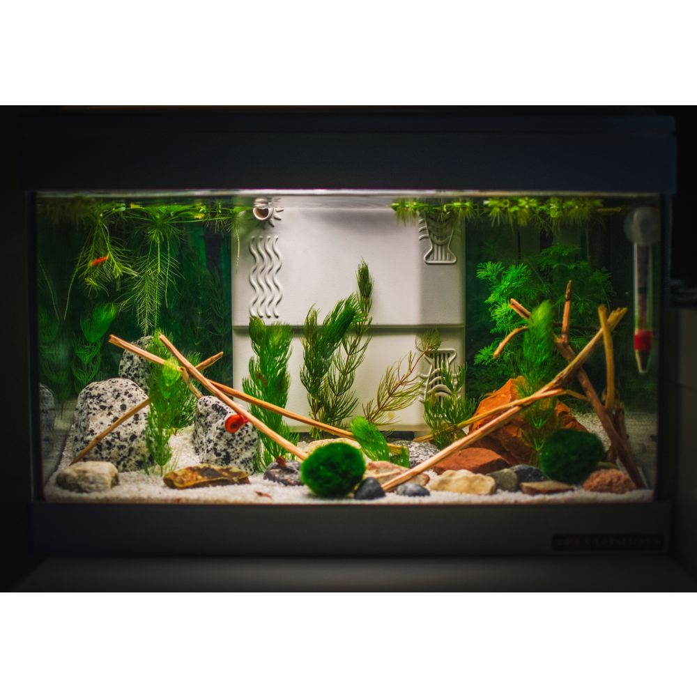 Acetal Leak Detector - 1/4" OD Connection