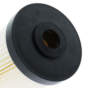 10" BB Pentek S1-BB Pleated Cellulose 20 mic Filter