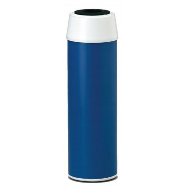 Everpure Costguard - CGT-10 [GAC-10] - Replacement Water Filter