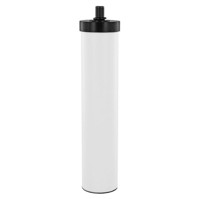 AquaCera CFB2-10S Fluoride/Heavy Metal Ceramic Filter