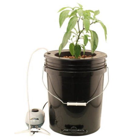 Flo-n-Gro Gro Momma Bubbler Bucket System