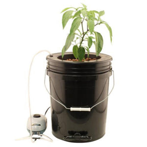 Flo-n-Gro Gro Momma Bubbler Bucket System