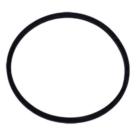 O-Ring for Aqua-Pure Upflow Flange Head APUN101/201/301
