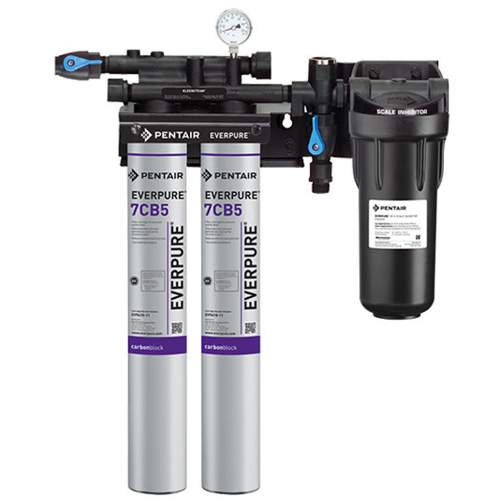 Everpure EV9797-22 Kleensteam II Twin System for Steam Applications