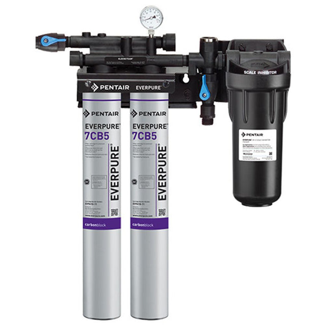 Everpure EV9797-22 Kleensteam II Twin System for Steam Applications