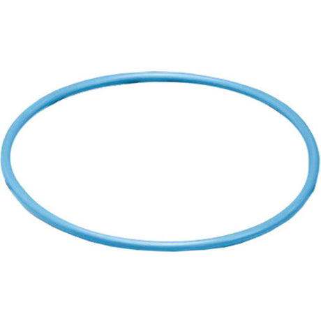 O-Ring - OmniFilter® K4 Replacement O-Ring [Not U24, U25 & BF7]