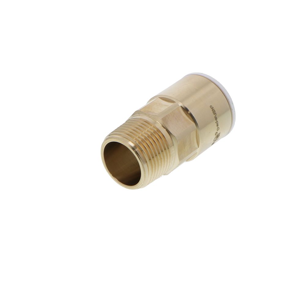 John Guest Lead-Free Brass Male Connector NPT - 3/4 CTS x 3/4 NPT