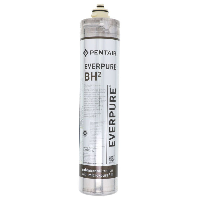 Everpure BH2 EV9612-50 Filter Cartridge