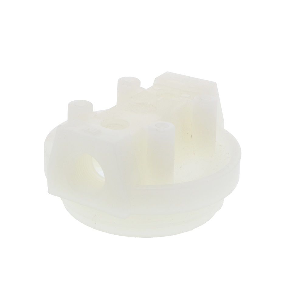 Pentek 154135 All Natural Standard Cap 3/4" w/ 2 Vent Plugs