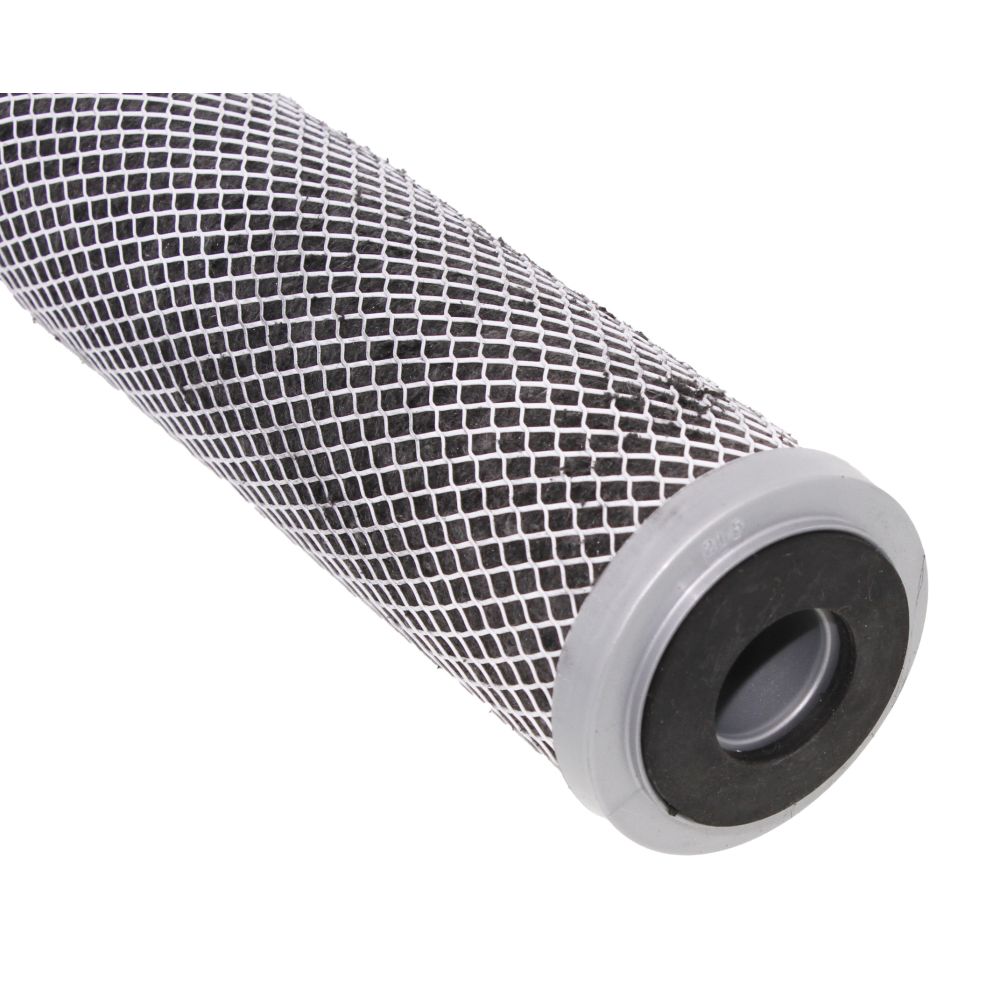 Pentek 455904-43 FloPlus-20 CTO/Cyst 0.5 mic Filter