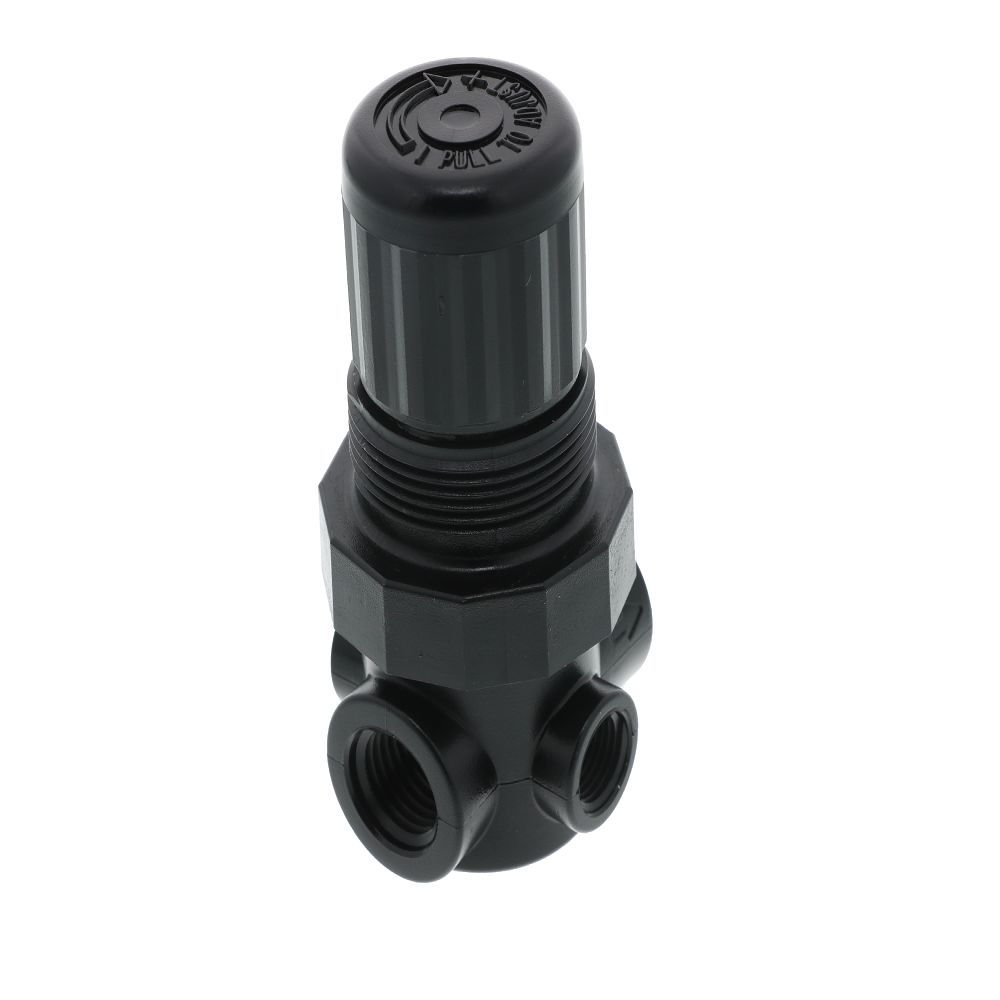 Norgren R91W2AS012 Non-Relieving Water/Air Pressure Regulator 1/4 FPT