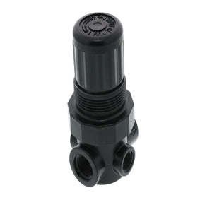 Norgren R91W2AS012 Non-Relieving Water/Air Pressure Regulator 1/4 FPT
