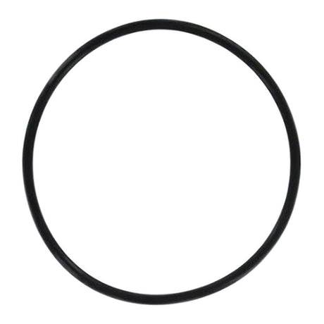 Omnifilter OK24 O-Ring for U24