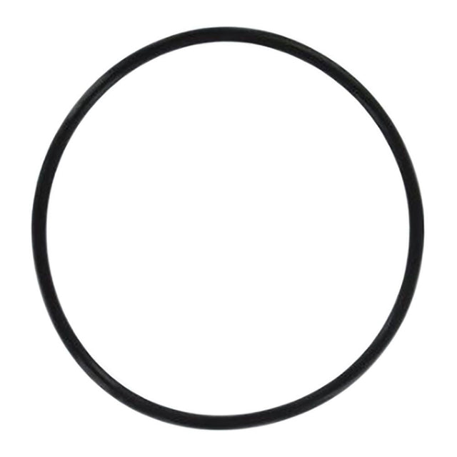 Omnifilter OK24 O-Ring for U24