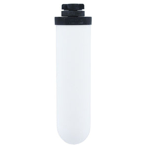Doulton W9122021 SuperCarb Ceramic Filter Candle