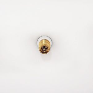 PAE TP-4 1 Gallon RO Tanks 1/4" White