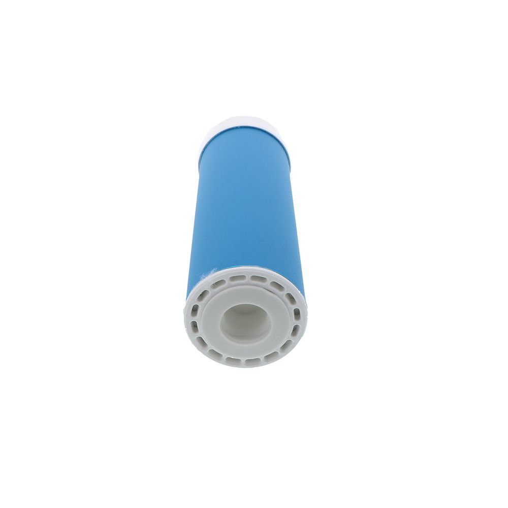 Pentek 155109-43 GAC-10 Granular Activated Carbon Filter Compatible with Costguard CGT-10