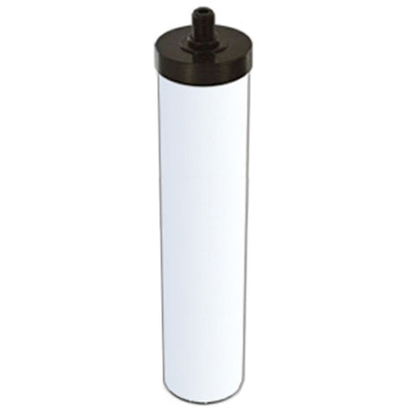 Doulton FL-C10 Fluoride Reduction A-2 Filter