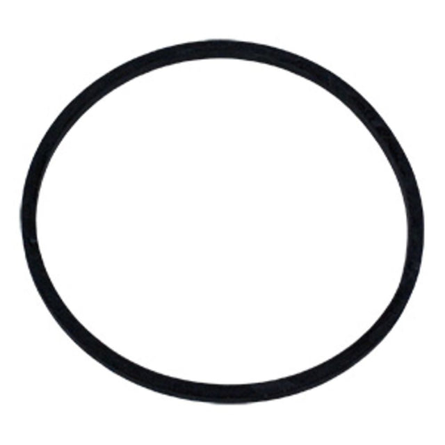 O-Ring for Purwater FHT-34 & FHO-34 ORG006