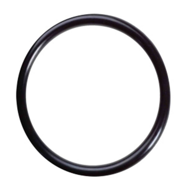 Pura 34202021 Quartz Sleeve O-Ring