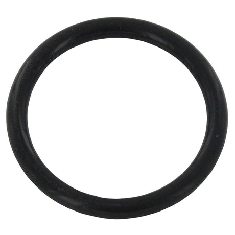 O-Ring for AquaPure AP11, AP12, AP26, AP51, AP101, AP102