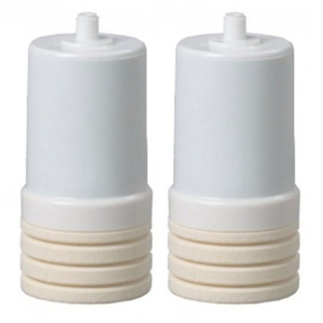 AP205 Replacement Cartridge - 2 Pak
