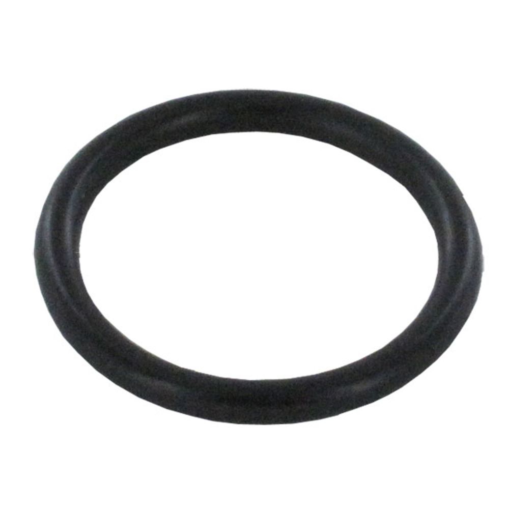 Dol-fyn Gasket [unit] / Heating Element O-Ring