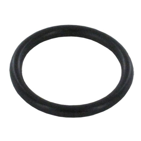 Dol-fyn Gasket [unit] / Heating Element O-Ring