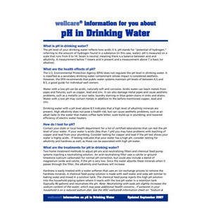 Omnipure Q5348 6" Calcite Filter for pH/TDS Balance