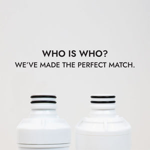 Neo-Pure Pre and Post Filter Replacement Kit for Watts Premier 531105