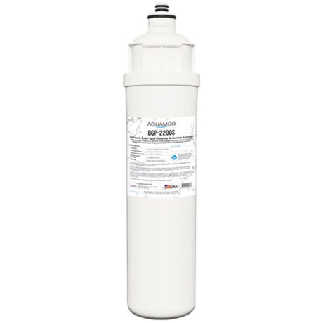 13" 0.5 Micron Carbon Block and Lime Scale Protection 1.67 GPM