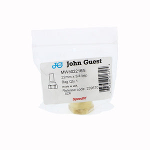 John Guest Brass Female Stem Adapter BSP - 22mm x 3/4 BSP