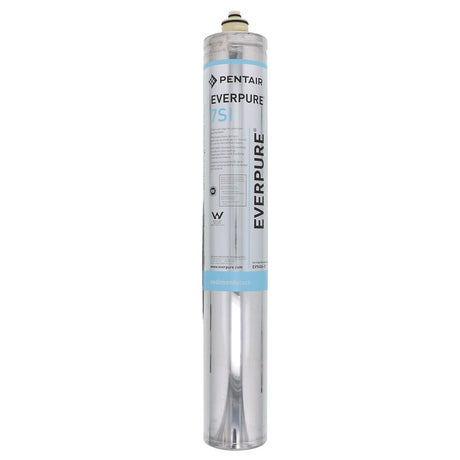 Everpure 7SI EV9606-01 Ice Filter For Slime Reduction