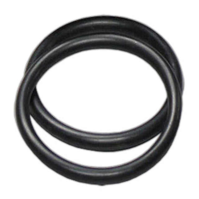 O-Ring for 2.5" Stainless Steel Housing End Cap