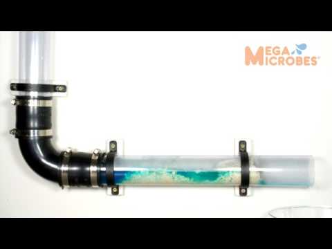 MegaMicrobes MML-64FL Liquid Premium Organic Waste Digester 64oz