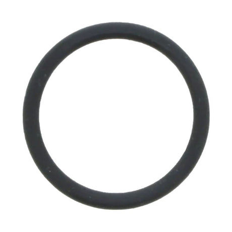 O-Ring for 4" Stainless Steel Housing End Cap