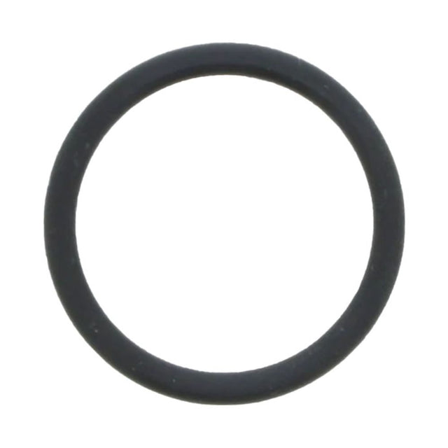 O-Ring for 4" Stainless Steel Housing End Cap