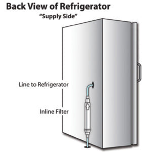 Pentek IC-101L Taste/Odor Inline RO Postfilter 1/4" FPT