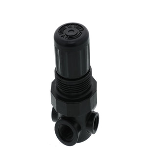 Norgren R91W2AK015 Non-Relieving Water/Air Pressure Regulator 1/4 FPT