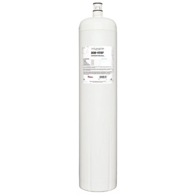 Aquamor BevGuard BGM-4916P Sediment/Scale Filter