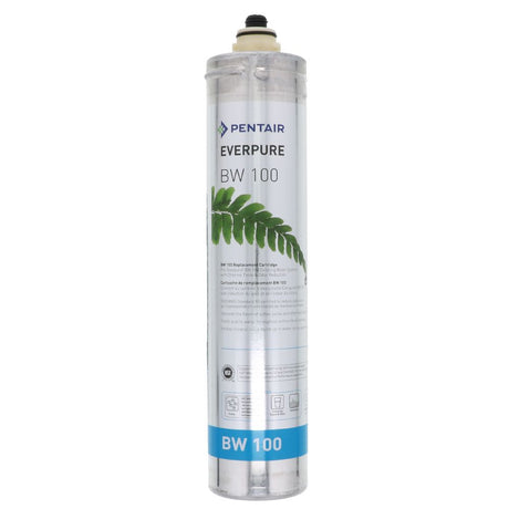 Everpure BW 100 EV9668-16 Filter Cartridge