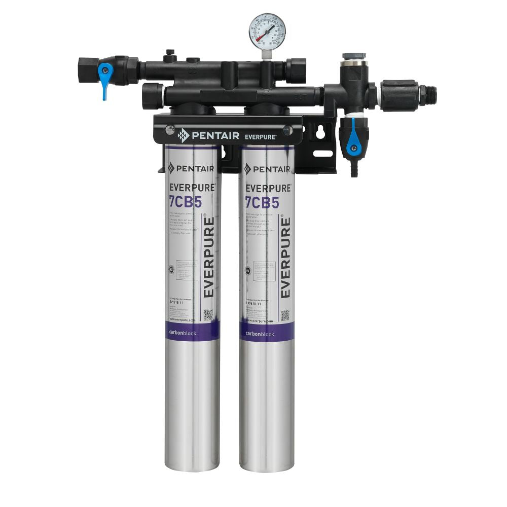 Everpure Kleensteam II Twin w/o Feeder