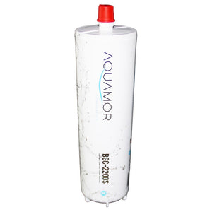 BevGuard BGC-2200S 5 Micron CTO/Rust/Scale Filter