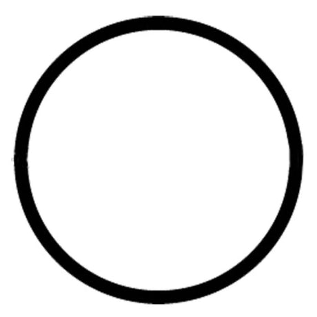 Everpure EV307119 Water Filter O-ring for K, IMF, AR-X Housings