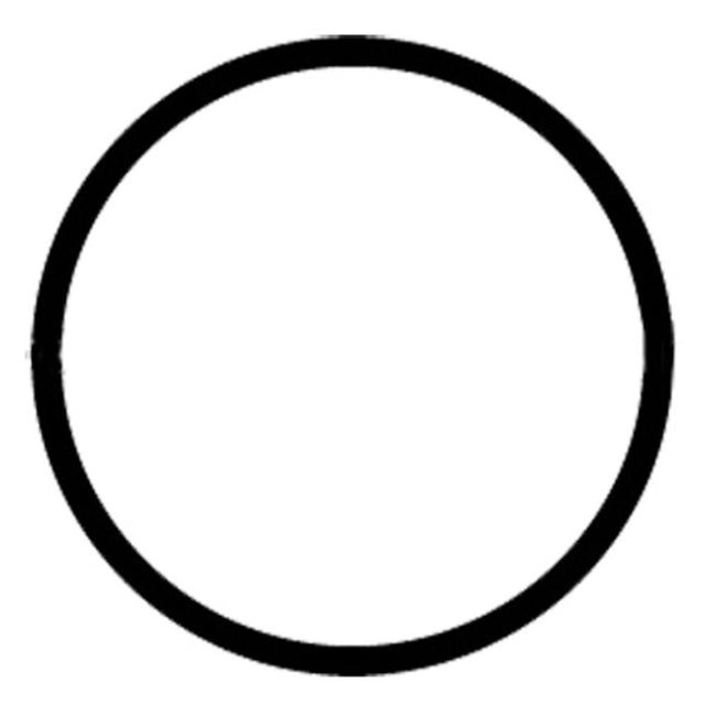 Everpure EV307119 Water Filter O-ring for K, IMF, AR-X Housings