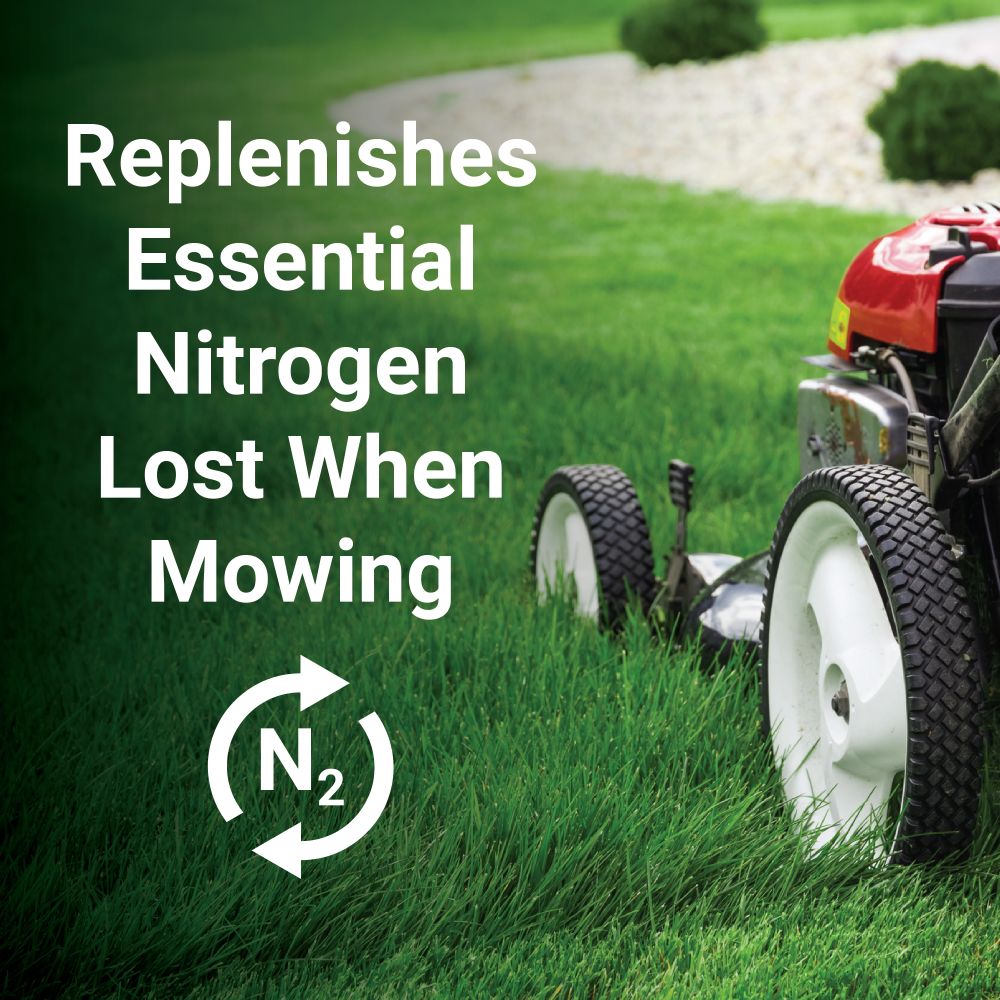 GrassSoGreen 19-0-0 Maintenance Formula Fertilizer 1 Gallon