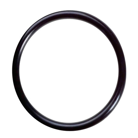 AXEON 4" O-Ring PVC Membrane Housing