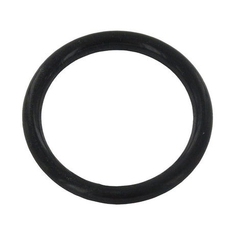 O-Ring 1/2" for 2.5" & 4" Stainless Steel Housing End Caps