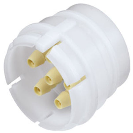 SXF420212 Non-Valved Hose Barb Coupling Insert with Female Fitting Bodies 1/8 ID Barb