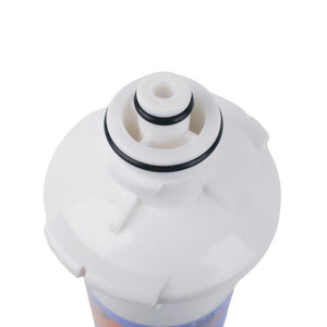 Omnipure E5515 Everpure Compatible 1M CTO/Cyst/Pb - 1250 gal Filter